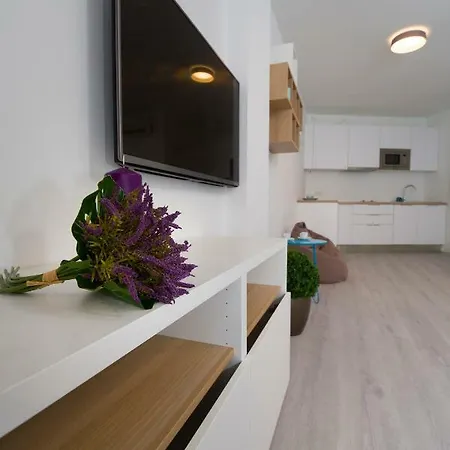 Apartment Beatum *